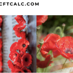 Poppy Flowers and Memorial Day and military